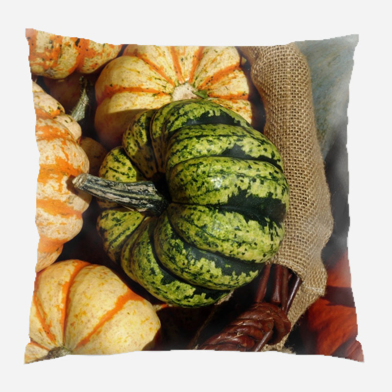  Coussin intérieur / extérieur Thanksgiving