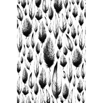 Plumes noires et blanches