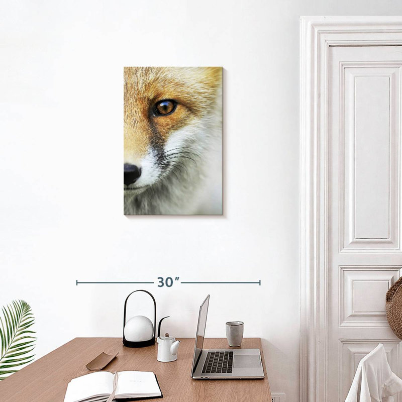 Le regard d'un renard, H 24 po x l 16 po