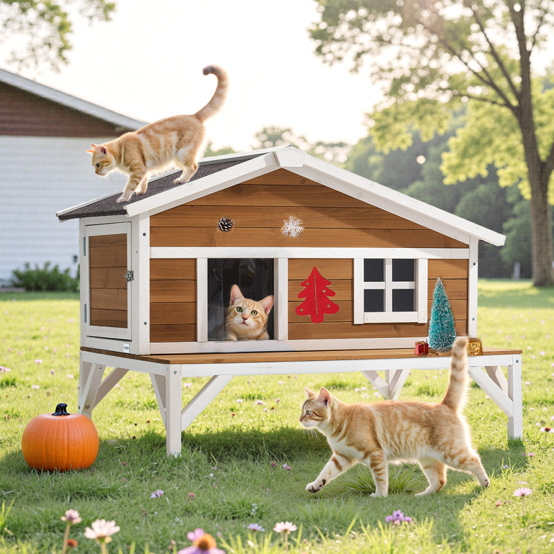 Cat House