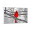 Cardinal Bird - Floater Frame Print on Canvas-1838350654-1838350652