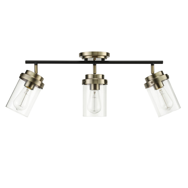 Adelaide Matte Black and Antique Brass 3-Light Track Kit with Clear Glass