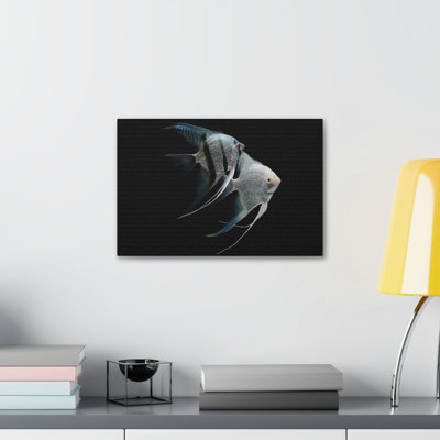 Drôle de poisson ange