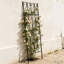 98cm H x 54.5cm W Metal Gothic