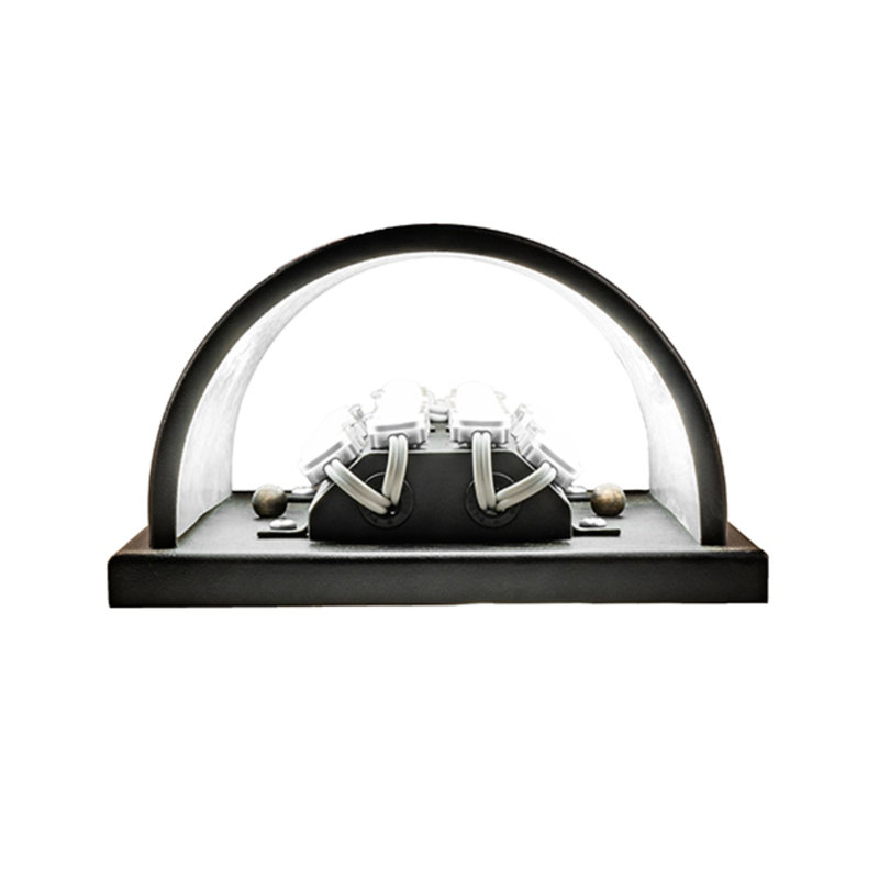 Whitewing 1 - Light LED Flush Mounted Sconce