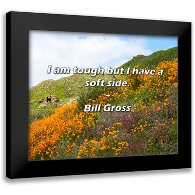 Bill Gross Quote: I am tough but I have a soft side.