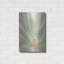«Succulent Bloom 1» par Stellar Design Studio, art mural en métal, 16 po x 24 po-825787766