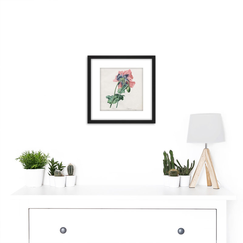 Langlois After Pierre Joseph Redoute Poppy - Single Picture Frame Painting