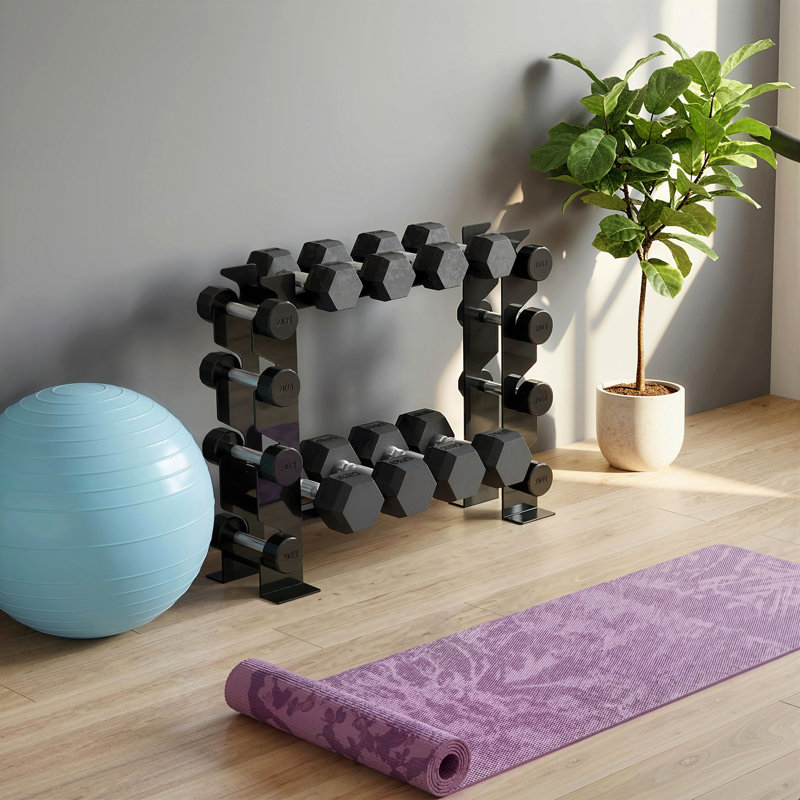 Dumbbell Rack