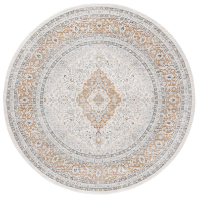 Delmer Performance Oriental Rug