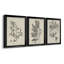 «Antique Black and White Botanical IV», ensemble de 3 peintures sur toile encadrées-508101472-508101476
