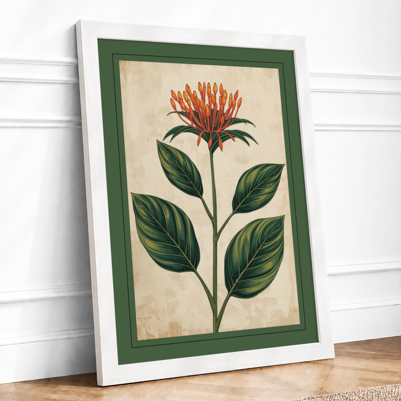 Study Botanical - Print, A4 - 29.7 x 21.0 cm, White