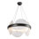Taurus 22-In Chandelier
