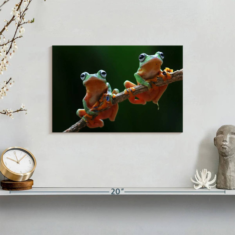Two Wallace's Flying Frogs, 8" H x 12" W