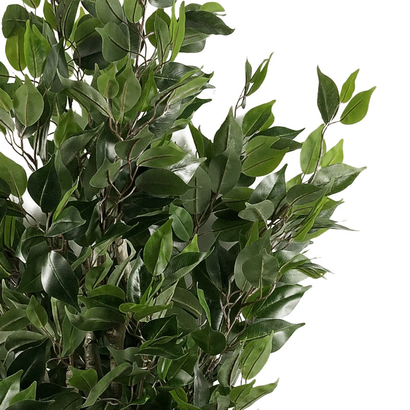 Annistyn 110cm Faux Ficus Tree in Pot