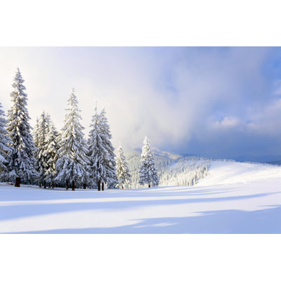 Frosty Winter Day - Wrapped Canvas Print