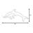 2D Dolphin Sign