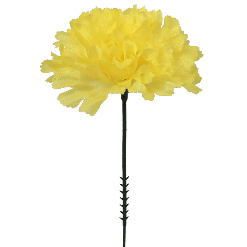 Tige d'œillet, Jaune