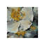 Medallion Print-26948028-26948031