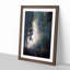 Forest Light - Framed Print-55577604-55577606