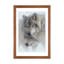 Wild Devotion - Gray Wolves-956310173-956310175