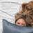 Luxurious 100% Mulberry Silk Zippered Bed Pillowcase - 19 Momme-124871787-115959673