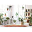 50cm Faux Foliage Plant in Pot
