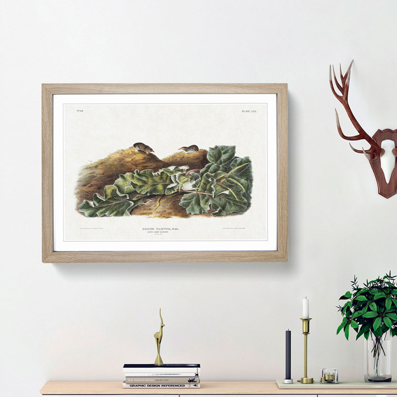Least Shrew by J.W. Audubon - Picture Frame Painting Print, 27cm H x 36cm W x 2cm D, Oak Framed