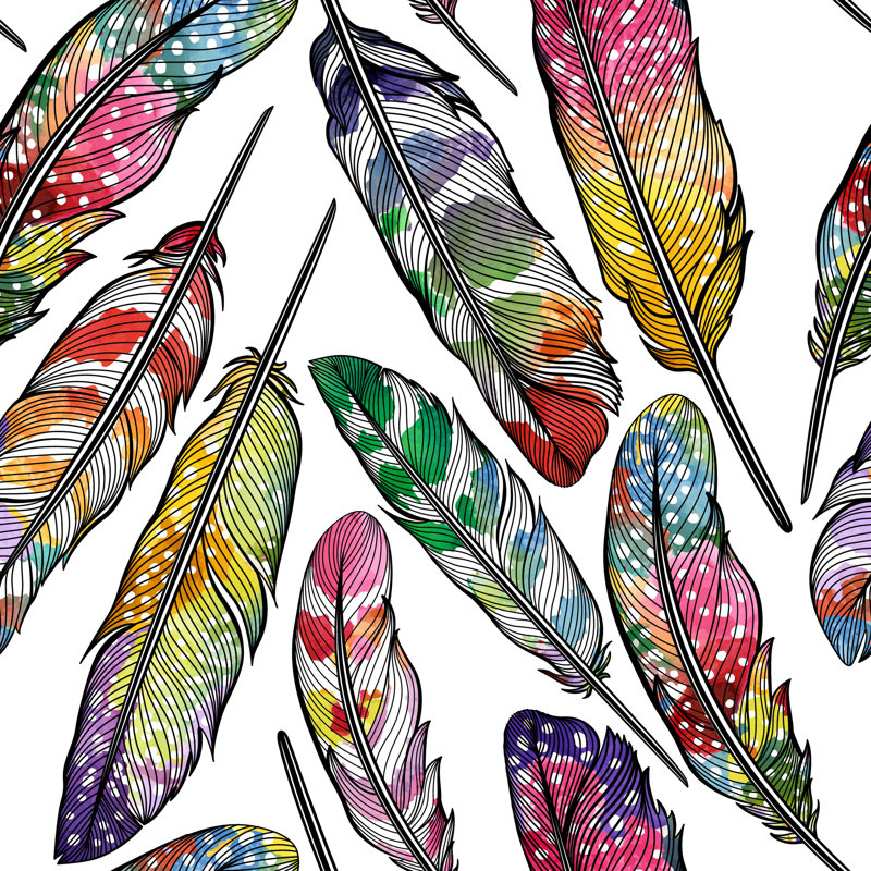 Rouleau de papier peint auto-adhésif Feathers, L 16,67 po x l 25 po