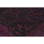 Tapis noir / mauve de haute qualité noué à la main