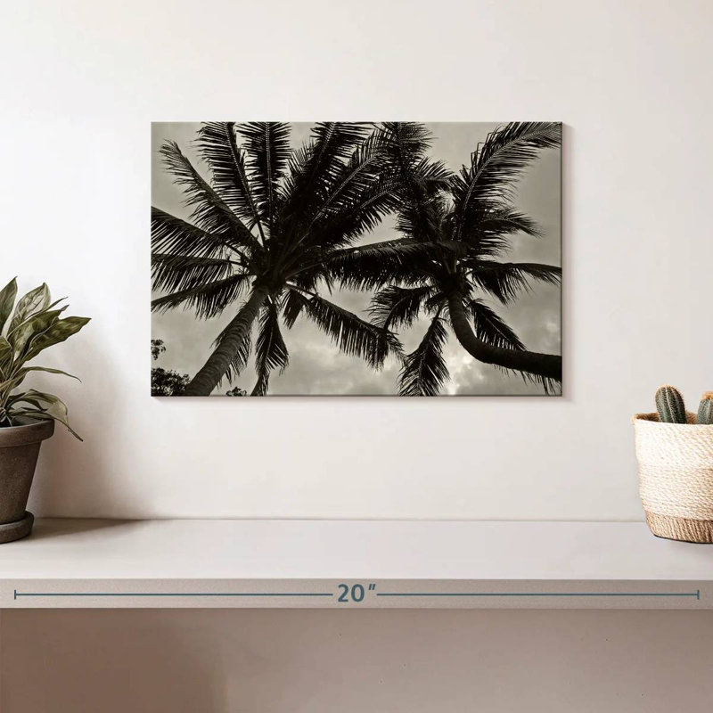 Harnek Palms At Night V, H 8 po x l 12 po
