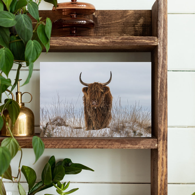 Highland Cow In Snow Rustic Abstract Contemporary Cow Landscape Nature Wall Art Print by Jaap Van Den - Wrapped Canvas Print