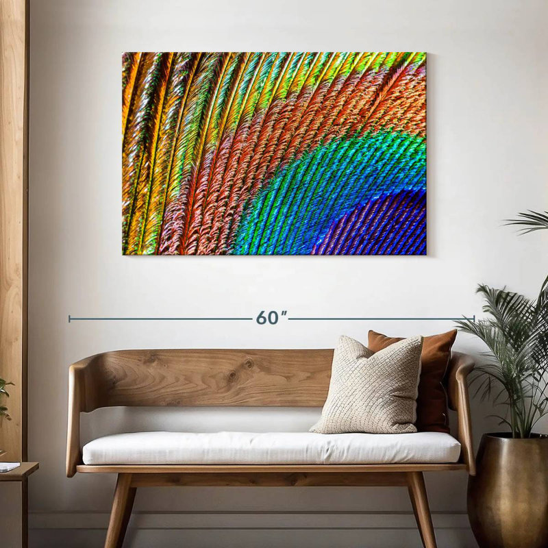 Brampt Abstract Peacock Feather, 30" H x 45" W