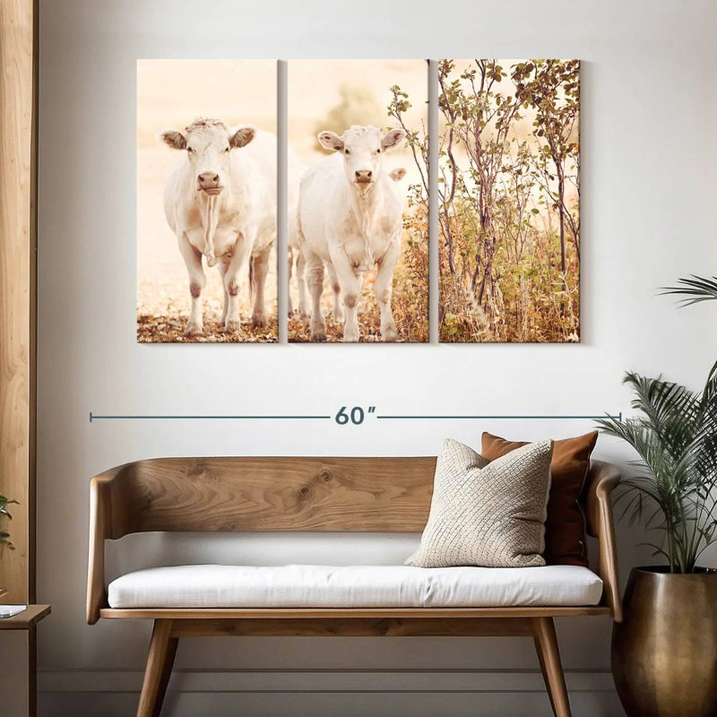 Charolais Cows, 32" H x 50" W