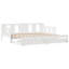 Argan Solid Wood with Trundle-204152764-204152762