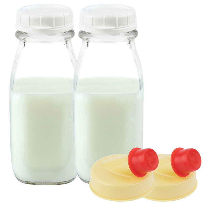 Cajsa 12oz. Glass Food Storage Container