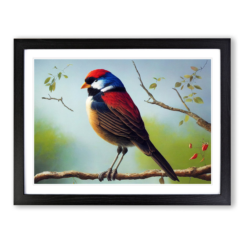 Beaming Bird - Framed Print, Black, 34cm H x 46cm W x 2cm D
