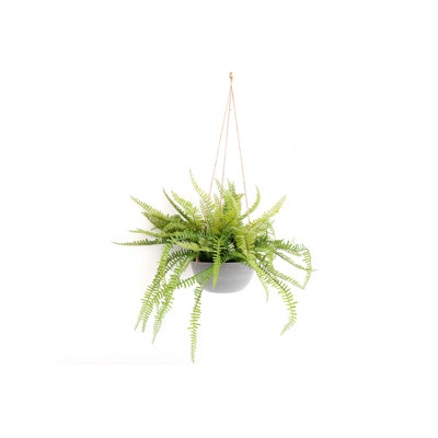 40 cm H Faux Fern Plant