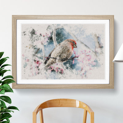 A House Finch Bird Watercolour - Picture Frame Graphic Art