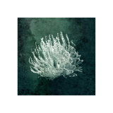Marine Collection III Print by GI Lab