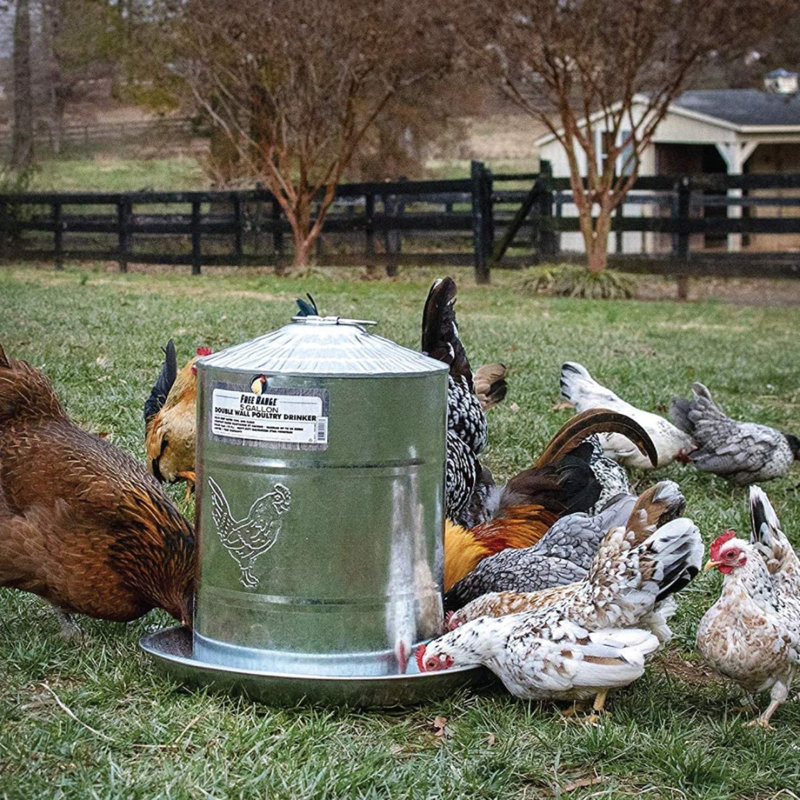 2 gal. Waterer For Up To