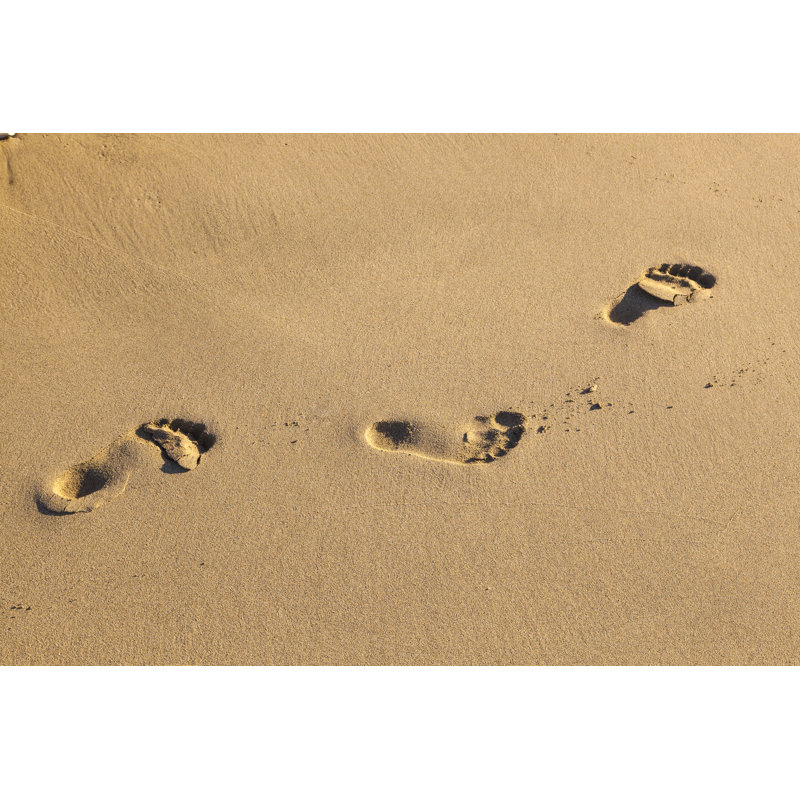 Human Footsteps - Wrapped Canvas Print, 30cm H x 46cm W x 3.8cm D