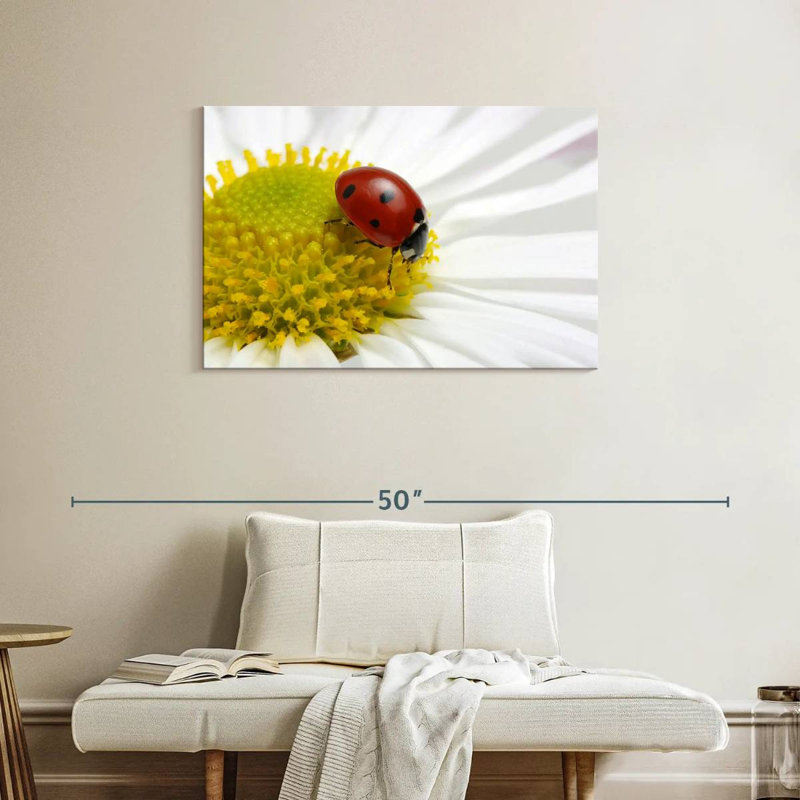 Ladybug On Chamomile, 24" H x 36" W