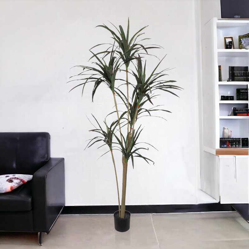 Arbre Dracaena artificiel, H 60 po x l 24 po x P 12 po