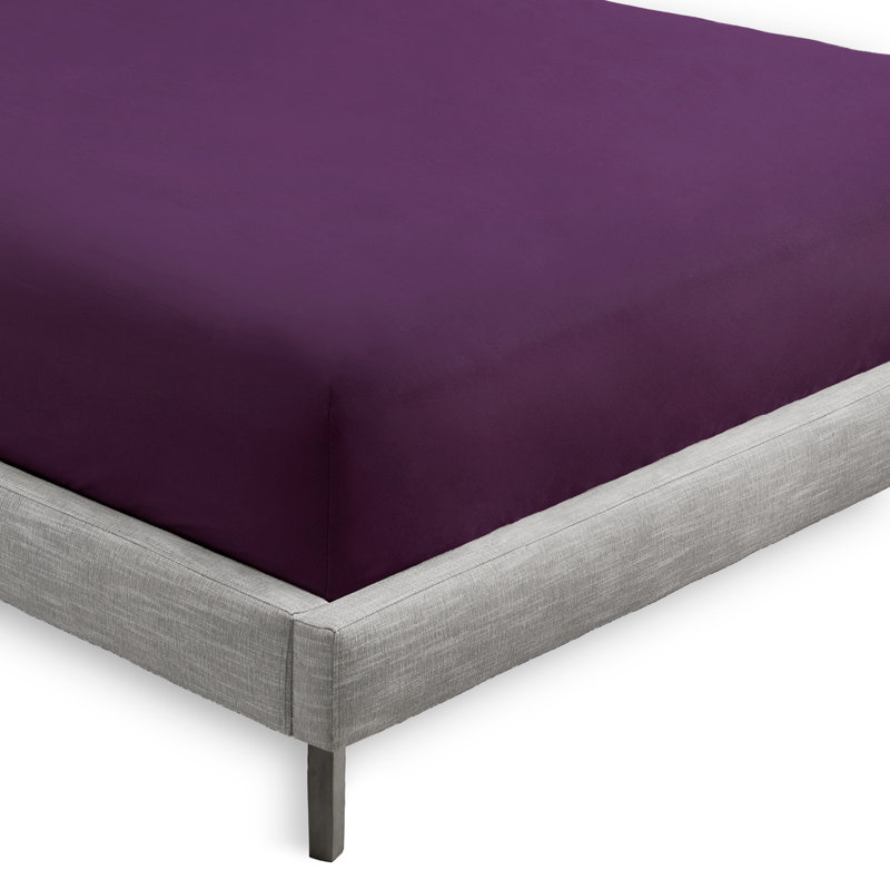 Drap-housse en microfibre de qualité supérieure ultra doux, Drap-housse simple très long, Prune