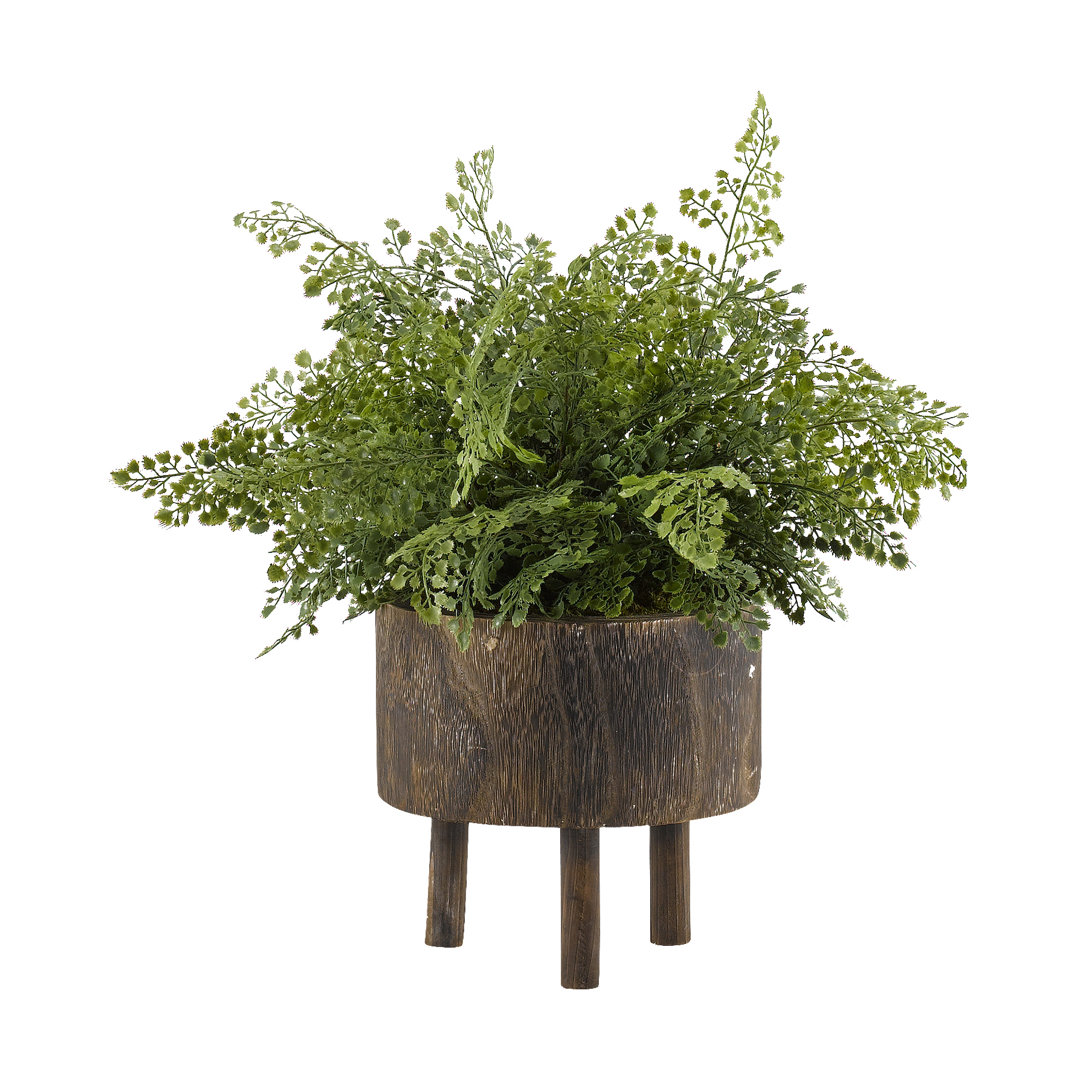 18'' Faux Maiden Hair Fern Plant in Solid Wood Planter Steelside™