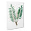 Indian Frankincense Flowers Illustration - Wrapped Canvas Painting-55363211