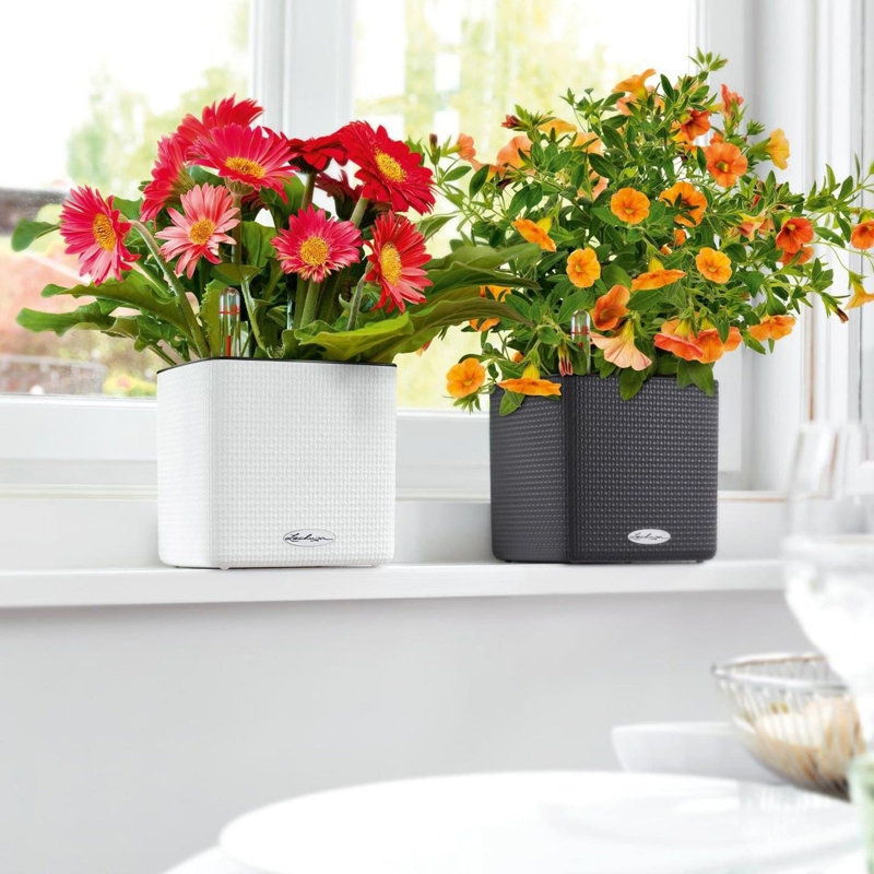 Boîte à fleurs carrée en plastique avec indicateur de niveau d'eau Cube Color 16
