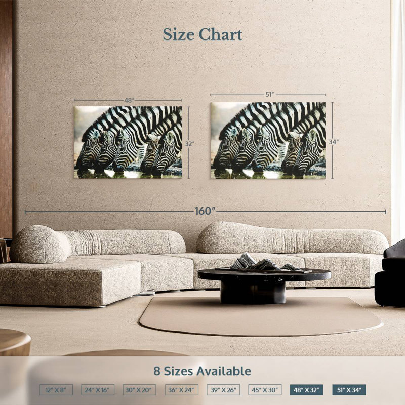 Brampt Scheveningen Zebras, 34" H x 51" W