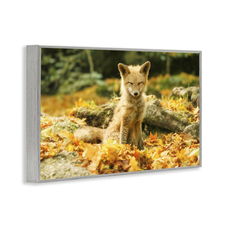 «Sleepy Fall Fox in Autumn», estampe numérique, design par Carrie Ann Grippo-Pike, H 20 po x l 30 po